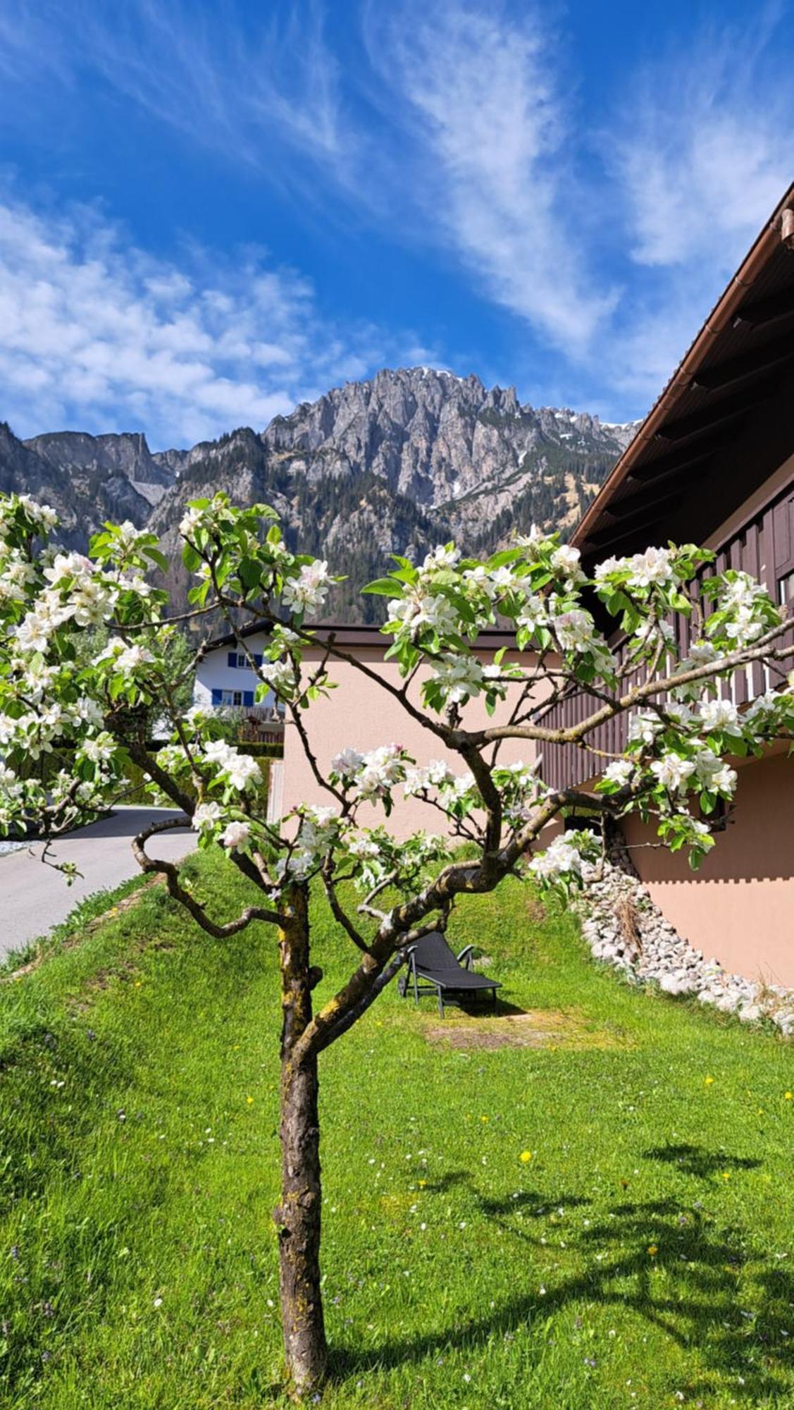 Baers Mountain Stay Ausserbraz Innerbraz Εξωτερικό φωτογραφία