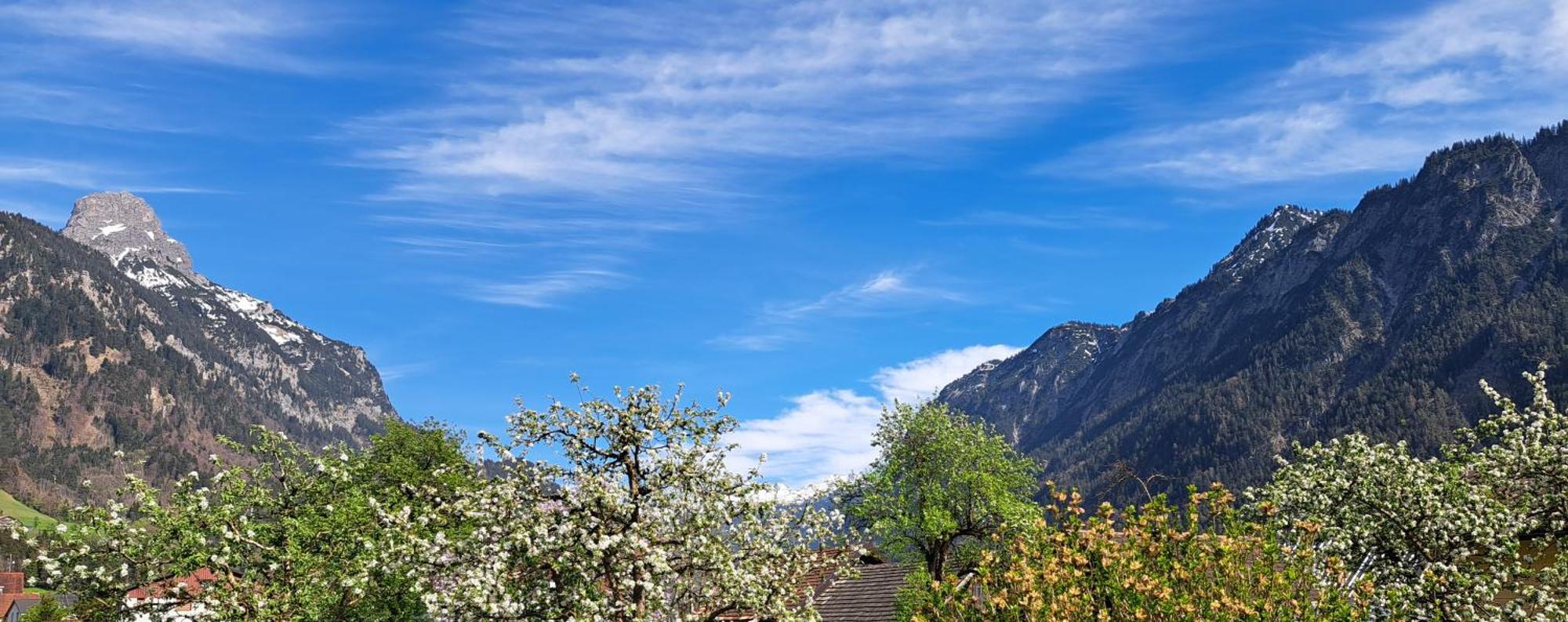 Baers Mountain Stay Ausserbraz Innerbraz Εξωτερικό φωτογραφία