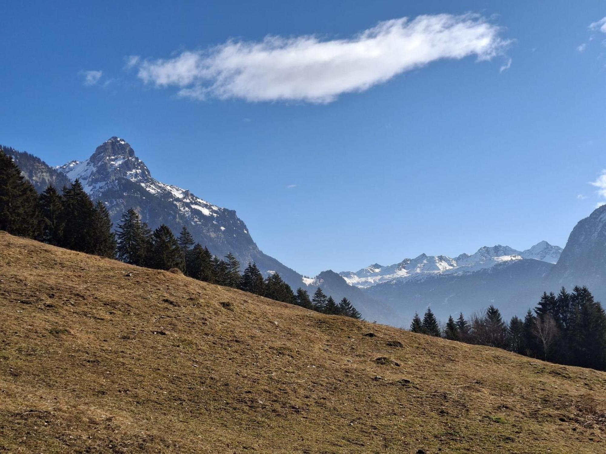 Baers Mountain Stay Ausserbraz Innerbraz Εξωτερικό φωτογραφία